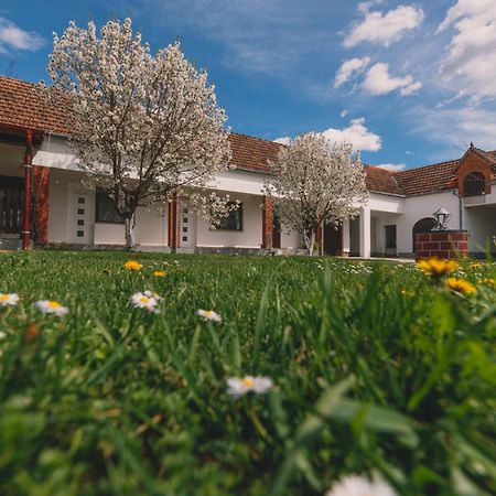 Apartman Marta I Soba Maja Gradiste Dış mekan fotoğraf