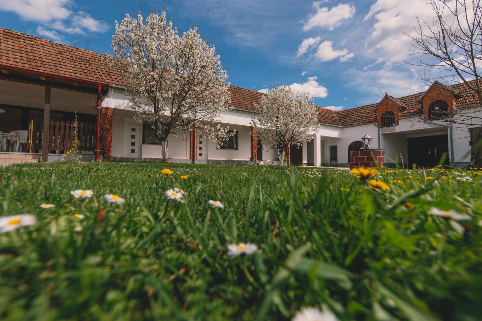 Apartman Marta I Soba Maja Gradiste Dış mekan fotoğraf