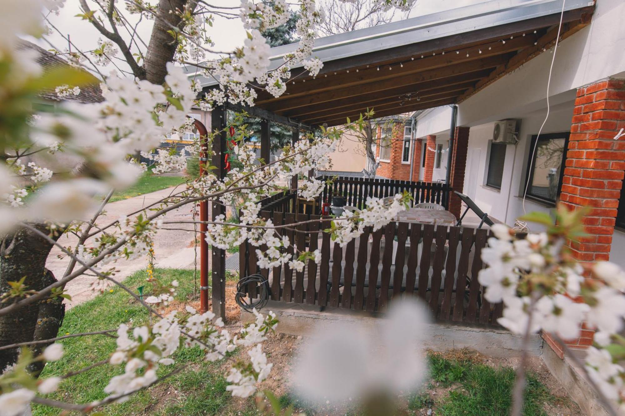 Apartman Marta I Soba Maja Gradiste Dış mekan fotoğraf