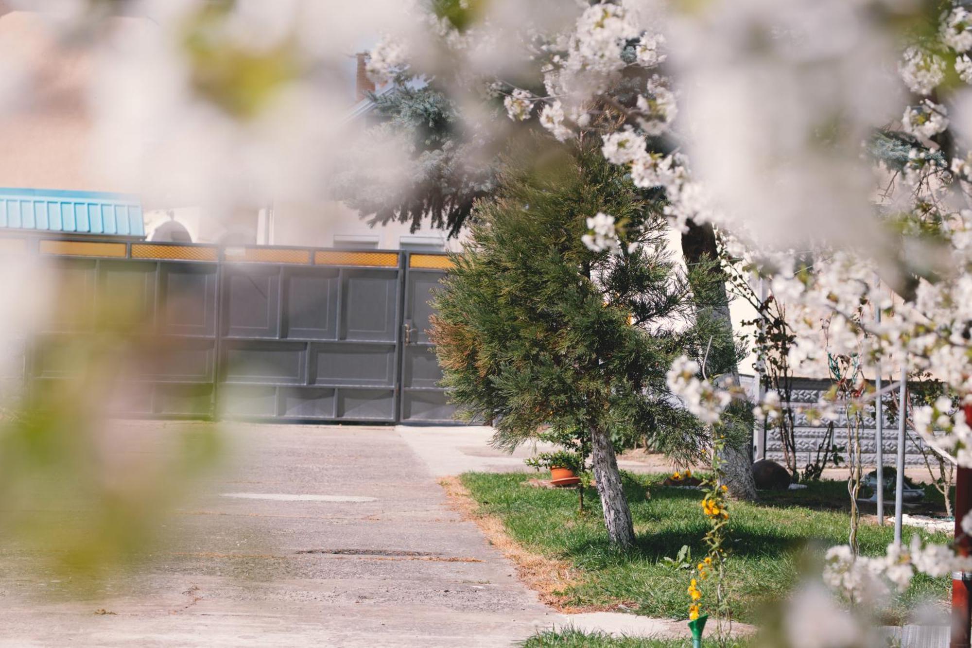 Apartman Marta I Soba Maja Gradiste Dış mekan fotoğraf