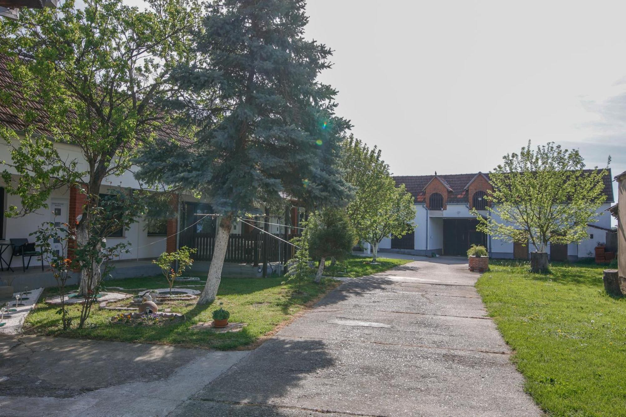 Apartman Marta I Soba Maja Gradiste Dış mekan fotoğraf
